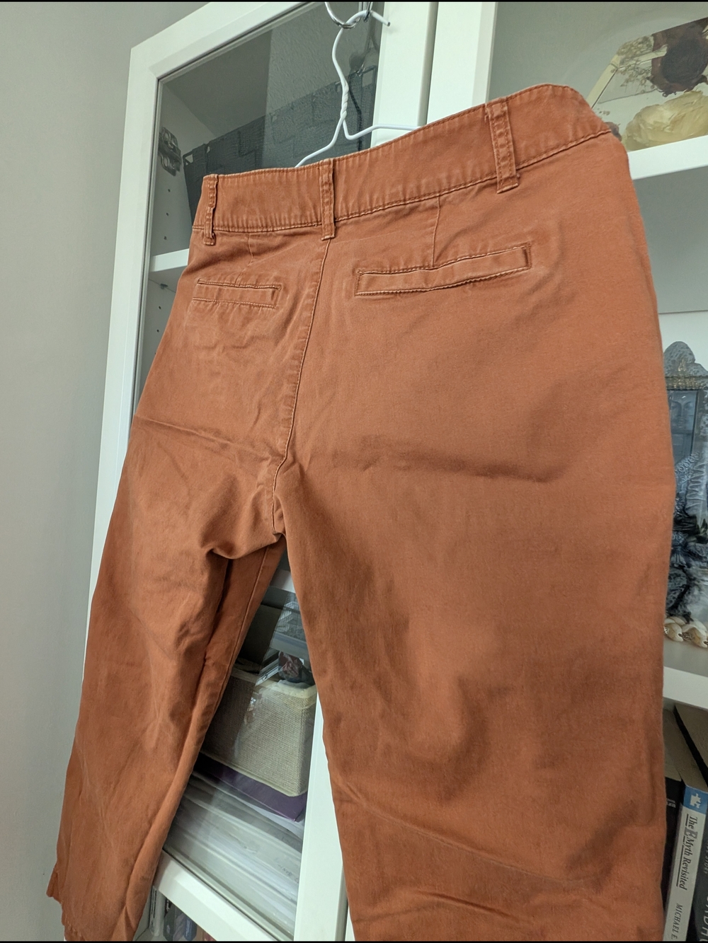 GAP Women's Straight Leg Pants in Rust